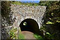 The Basset Tunnel