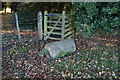 The Minster Way near Lockington Church