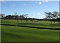 Barry Burn, Carnoustie Golf Course