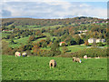 Autumn tints in Esk Dale