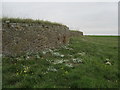 Disused Battery, Sandwich Bay Estate