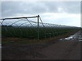 Polytunnels (without the poly)