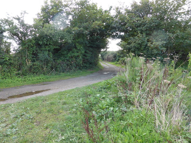 Bridle path near Gonew Farm