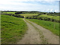 The lane to Trembethow