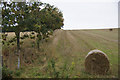 Bales in a field at Easter Keith, near Lundie