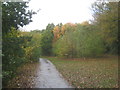 Path towards Brumby Wood