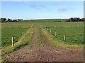 NY0786 : Farm track near Cumrue by Steven Brown