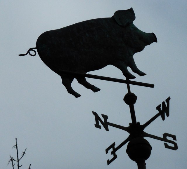 Pigs might fly