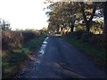 Minor road through Bruntsfield Wood