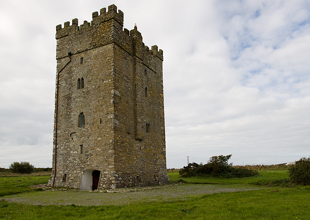 Castles of Leinster: Ballyhealy, Wexford (1)