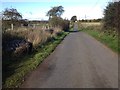 Low Road near Greenbogue