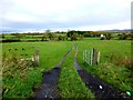 An open field, Ballynamullan