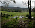 Field at the side of Perciemuir Wood