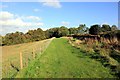 The Sandstone Trail at Higher Burwardsley