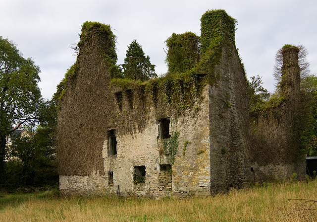 Castles of Munster: Coolnalong, Cork (1)