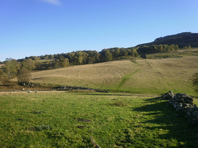 Looking up the hills behind Mains of Orchil