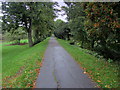 Course of the Old Town Wall, Sandwich