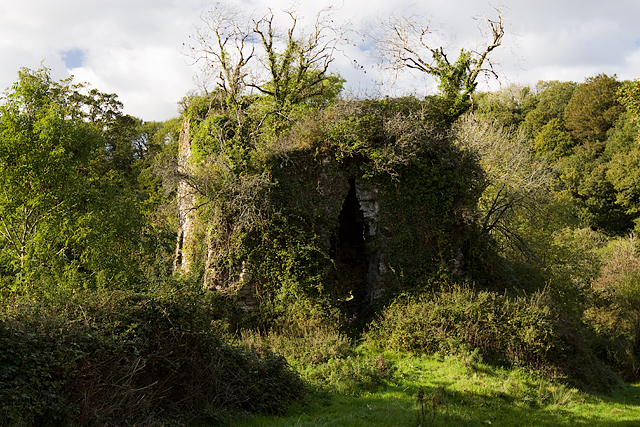 Castles of Munster: Cornaveigh, Cork