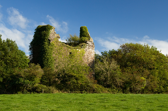 Castles of Munster: Castle Cooke, Cork (1)