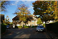 Lime Tree Avenue from Chestnut Grove, Hull