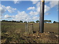 Stone post with benchmark north of New Hall Farm