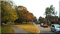 Autumn colours in Canterbury