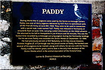 D2818 : Antrim Coast - Carnlough - Memorial for a carrier pigeon named "Paddy" by Joseph Mischyshyn