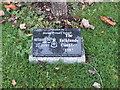 Falklands Conflict memorial stone