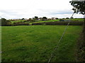 Grazing fields west of Chwylfa Farm