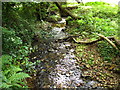 The Afon Conwy running through woodland