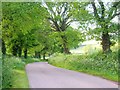 Lane near Greenlands Farm