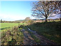 Farm track at Glenreasdell