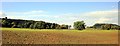 SJ5457 : Peckforton and Beeston Panorama by Jeff Buck