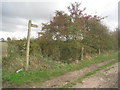 The beginning of the bridleway to Blacktoft