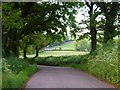 Lane near Greenlands Farm