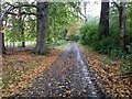 Minor road near Fairburn House