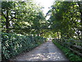 Track leading down to Spring Street, Hollingworth