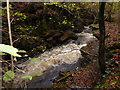 Part of the Taf Fechan in autumn