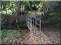 Footbridge over stream in woodland