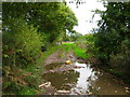 Footpath through fields