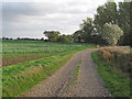 Bridleway to Horstages, Felsted