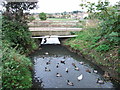 Bridge between Marian Avenue and Ripney Hill Farm