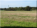 Farmland north of Watton