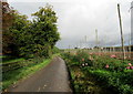 Access Lane leading from Great Pedding Farm