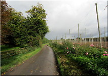 TR2658 : Access Lane leading from Great Pedding Farm by Chris Heaton