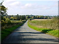 Straight lane to Pensham