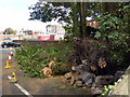 Fallen Tree near Southfields Road, Eastbourne