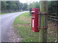 SZ3699 : East Boldre: postbox № SO42 46 by Chris Downer