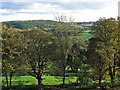 SK4762 : Hardwick - view towards Silverhill by Dave Bevis