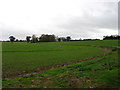 Farmland near Ashby St Ledgers